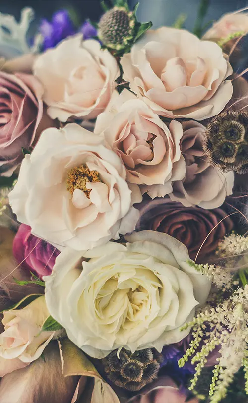 flowers